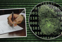 The Impact of Identity Theft on Your Tax Return