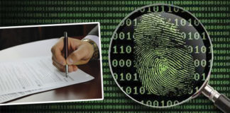 The Impact of Identity Theft on Your Tax Return