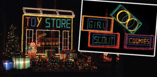 Holiday Lights – Girl Scouts of Suffolk County