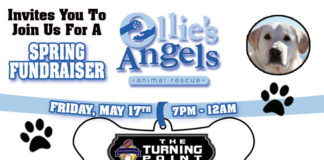 Ollie’s Angels Spring Fundraiser