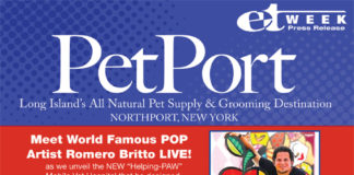 PetPort: Helping Paw
