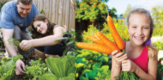 Edible Landscaping