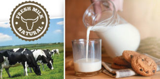What’s Milk Got To Do With It?