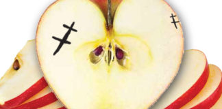 Frankenapples
