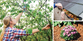 Fall Gardening/Mulching
