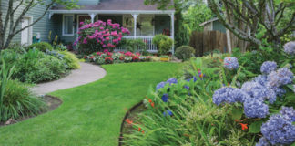 Fertilizer Out Of Fresh Air