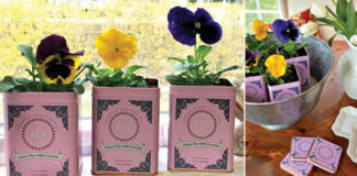 Recycled Tea Planters