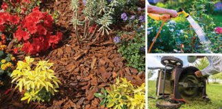Mid-Summer Gardening