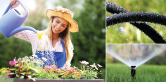 Watering Tips