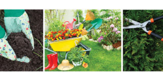 Early Spring Gardening!