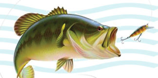 Get Hooked… On Fishing