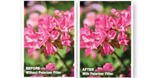 Get Better Fall Foliage Pictures With A Polarizer Filter