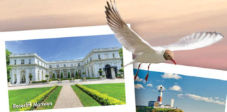 The Forks & Beyond : Quick Getaways Within Reach