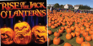 Halloween on Long Island