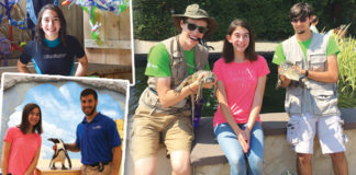 Summer Fun At The Long Island Aquarium