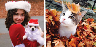 Don’t Shop, Adopt