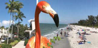 Nifty and Noteworthy Naples!