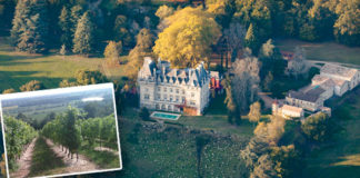 Exploring The Cote De Bordeaux