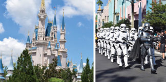 Family Vacationing at Walt Disney World
