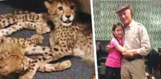 Jack Hanna Is Back