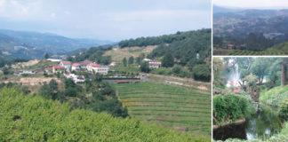 The Beauty of Vinho Verde