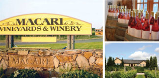 A Tour Through Long Islands Wine Country