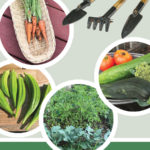 homegarden0221