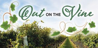 Out on the Vine