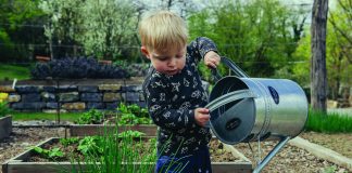 5 Tips for Gardening with Kids