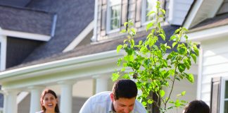 Tree Talk: 4 Tips for Planting Trees