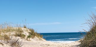 A Day Trip to the… Hamptons