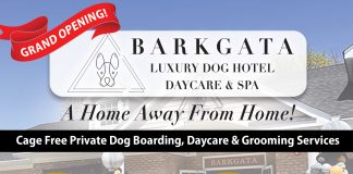 Barkgata Luxury Dog Hotel, Daycare & Spa