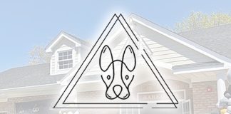 Barkgata Luxury Dog Hotel Daycare & Spa