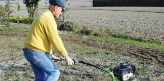 Fall Gardening
