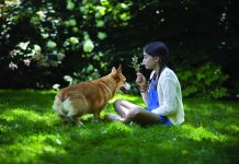Spring Checklist for Pets