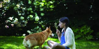 Spring Checklist for Pets