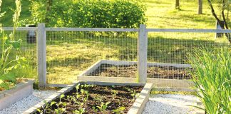 Creating a New Vegetable Garden Bed : Part 1 of 3