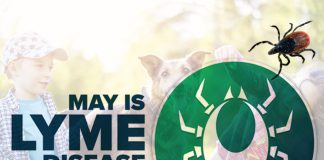 Staying Safe from TICKS This Summer