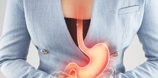 The Link Between Gut and Brain Health