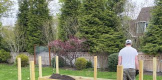 Creating a New Vegetable Garden Bed: Part 2 of 3