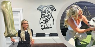Barkgata Luxury Pet Hotel, Daycare & Spa