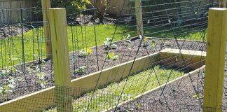 Creating a New Vegetable Garden Bed : Part 3 of 3