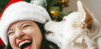 Can Loving a Pet Impact Your Health?