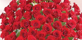 Valentine’s Gift Guide