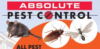 Absolute Pest Control