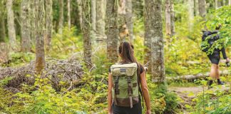 Health & Wellness: End of Summer Blues