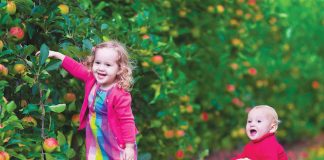 Out & About: North Fork Fall Festivities