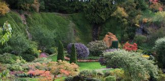 Home & Garden: 33 Gardening Tips To Celebrate 33 Years with ET Media