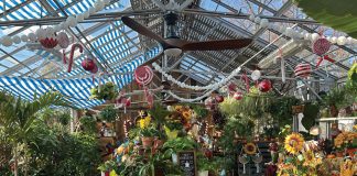 UPCLOSE: Gabriella’s Nursery & Garden Center