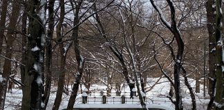Out & About: Central Park Edition